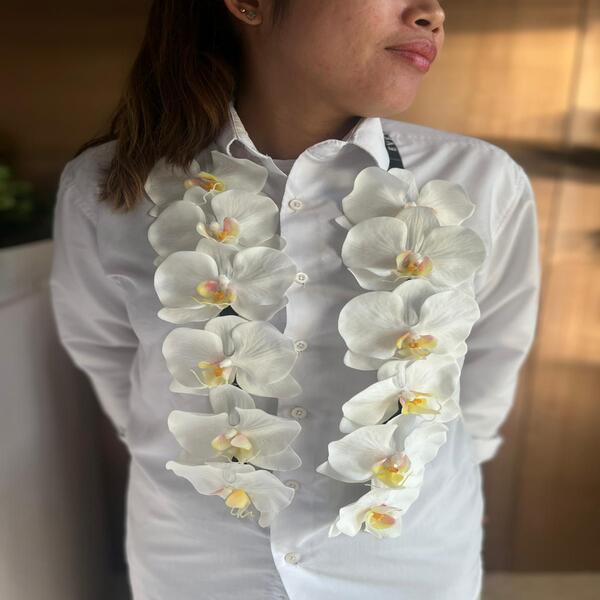 de883a20_WhatsApp Image 2026-05-13 at bnb.jpeg